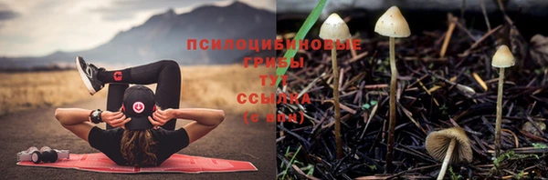 марихуана Богородицк