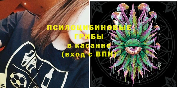 шишки Богданович