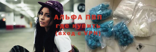 сатива Богородск