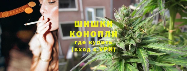 шишки Богданович