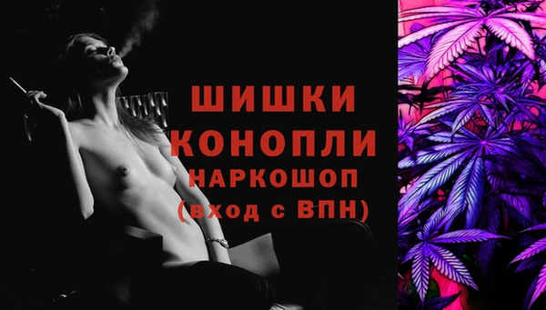 шишки Богданович