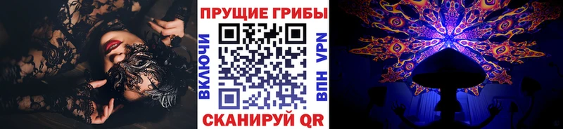 Псилоцибиновые грибы MAGIC MUSHROOMS  дарк нет телеграм  Курган  где купить наркоту 